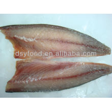 Horse Mackerel